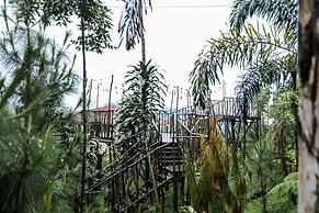 Miracle Signature Hills