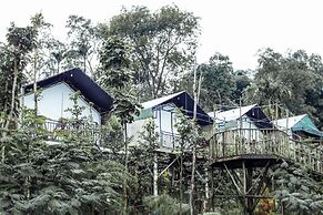 Miracle Signature Hills