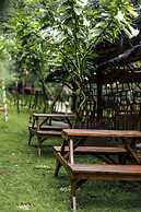 Miracle Signature Hills