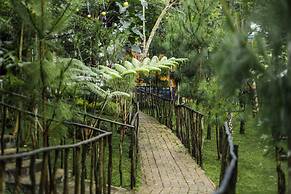 Miracle Signature Hills