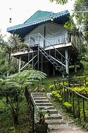 Miracle Signature Hills