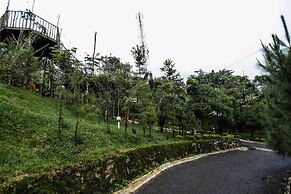 Miracle Signature Hills