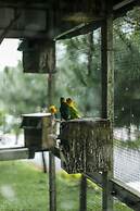 Miracle Signature Hills