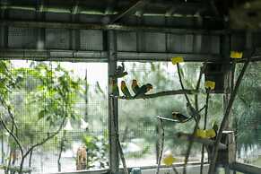 Miracle Signature Hills