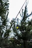 Miracle Signature Hills