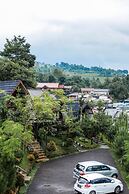 Miracle Signature Hills