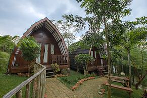 Miracle Signature Hills