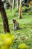 Miracle Signature Hills