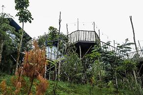 Miracle Signature Hills