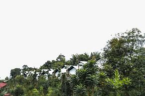 Miracle Signature Hills