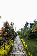 Miracle Signature Hills