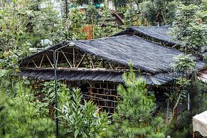 Miracle Signature Hills