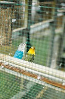 Miracle Signature Hills