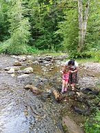 ART House Transylvania Sibiu