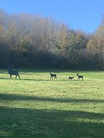 La biche au bois