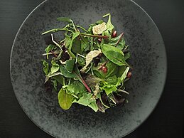 Ezio Bo Luxury Living