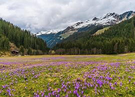 Apartment in Top Location in Fugen With Balcony