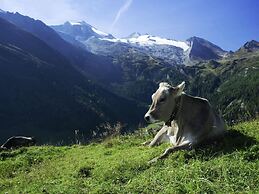 Apartment in Aschau im Zillertal