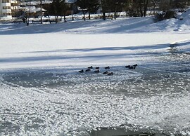 The Stubai Lodge - Modern Living With Garden & Mountain View