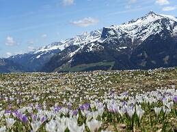 Apartment in Hippach With a Dream View