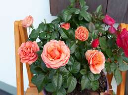 Holzwohnung in St. Johann in Tyrol With Terrace