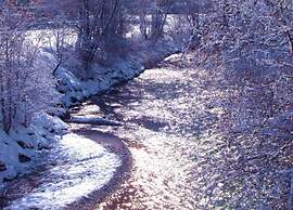 Apartment in Stubai Valley With ski Room