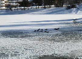 Apartment in Stubai Valley With ski Room