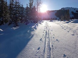 Apartment for Allergy Sufferers Near the Waterfall