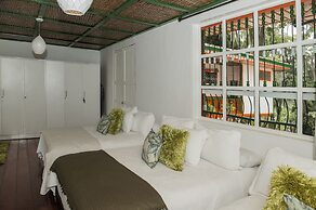 Hacienda Charrascal Coffe Farm