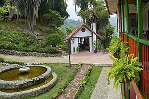 Hacienda Charrascal Coffe Farm