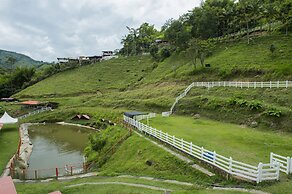 Hacienda Charrascal Coffe Farm