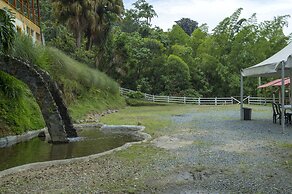 Hacienda Charrascal Coffe Farm