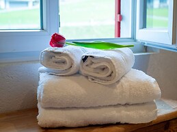 Apartment in St. Gallenkirch in Montafon ski Area