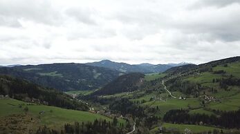 Holiday Apartment in Salchau Near ski Area