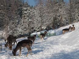 Apartment in Carinthia Near the ski Area