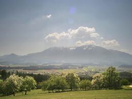 Apartment in Carinthia Near the ski Area