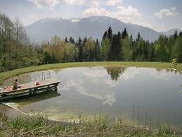 Apartment in Carinthia Near the ski Area