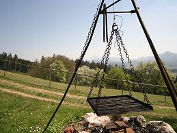 Apartment in Carinthia Near the ski Area