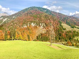 Farmhouse in Hochfilzen With Mountain View