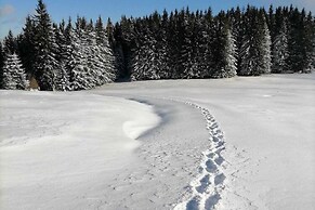 Holiday Home in Prebl / Carinthia Near ski Area
