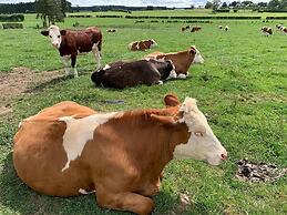 Apartment in Belgian Eifel