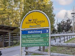 Apartment in Bad Kleinkirchheim ski Resort