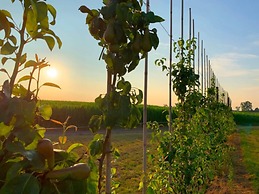 Holiday Home in Vlijtingen With Sauna