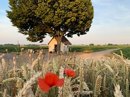 Holiday Home in Vlijtingen With Sauna