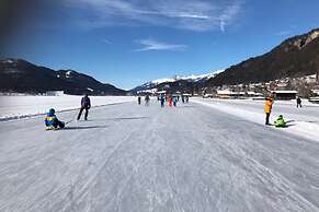 Holiday Home in Seeboden on Lake Millstatter See