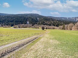 Holiday Home in Carinthia Near ski Area