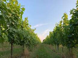 Holiday Home in Vlijtingen With Garden