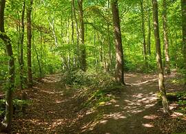 Holiday Home in Ferrieres With Garden