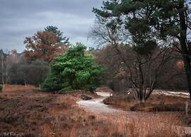 Holiday Home in Ferrieres With Garden
