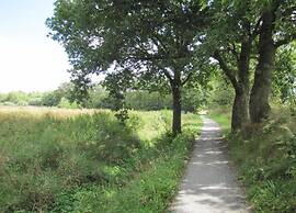 Holiday Home in Ferrieres With Garden